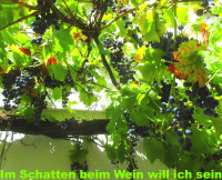 /album/fotogalerie/bildstoff-524-jpg/